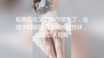 生命保险推销员的肉体推销 吉泽明歩