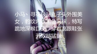 小马丶寻花极品丸子头外围美女，豹纹内衣黑色网袜，特写跪地深喉口交，穿着高跟鞋张开双腿猛操