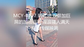 MCY-0177 玥可岚 双薪加巨屌的加班福利 淫浪骚人满天下 麻豆传媒映画