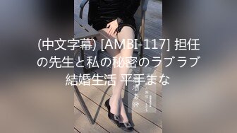 BJ齐碧230819-4