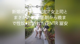 新婚の仆が出张先で女上司とまさかの相部屋 朝から晩まで性奴●にされた逆NTR 冨安れおな