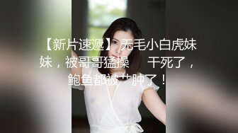 少女诱惑计划-游戏篇