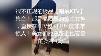 很不正规的极品【暗黑KTV】集合！都是高质量的公主女神，直接在KTV包间里尺度非常惊人！美女们放在路上也妥妥的女神 (2)