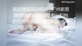 LJ极品地铁高清CD系列20部合集 (17)