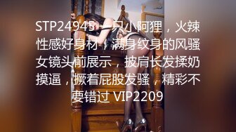 STP24945 一只小阿狸，火辣性感好身材，满身纹身的风骚女镜头前展示，披肩长发揉奶摸逼，撅着屁股发骚，精彩不要错过 VIP2209