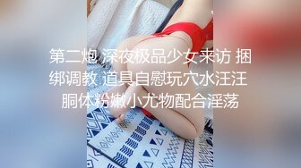 太完美了 满足幻想 AI绘画 正经的女教师们 图集