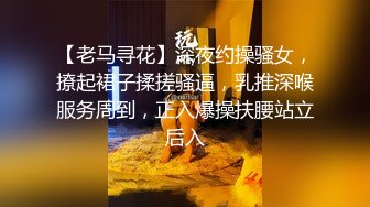 【老马寻花】深夜约操骚女，撩起裙子揉搓骚逼，乳推深喉服务周到，正入爆操扶腰站立后入