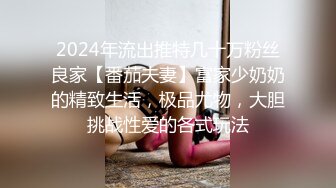 2024年流出推特几十万粉丝良家【番茄夫妻】富家少奶奶的精致生活，极品尤物，大胆挑战性爱的各式玩法