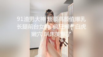 【推特网黄】台湾纹身巨乳小母狗【桃園娜美】口爆性爱PAPA