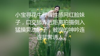 小宝寻花牛仔裤性感网红脸妹子，口交舔弄近距离拍摄侧入猛操晃动奶子，被操的呻吟连连非常诱人