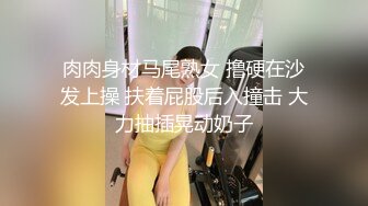 肉肉身材马尾熟女 撸硬在沙发上操 扶着屁股后入撞击 大力抽插晃动奶子