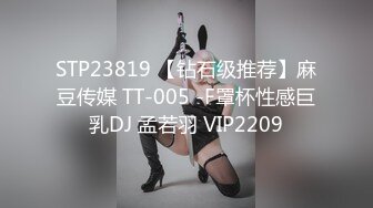 91Sison素人約啪系列第9季：E杯轻熟人妻诱惑