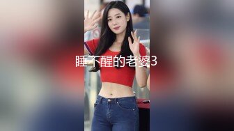 睡不醒的老婆3