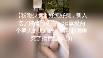 十一月最新流出 商场女厕全景后拍（露脸）美女尿尿l清纯美女撸起裤脚扎着马步撒尿什么都看的清清楚楚