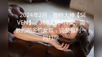 ❤2024年2月，推特大神【SEVEN】，388人民币VIP，调教约啪多位女奴，完整福利一网打尽