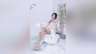 丝袜女友3