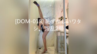 91好摄之徒啪啪大长腿模特作品,各类插穴玩了个(VIP)