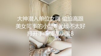 大神潜入单位女厕 偷拍高跟美女同事的小黑B 光线不太好打开手电筒照小黑B