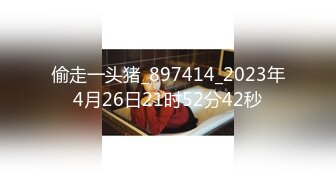 偷走一头猪_897414_2023年4月26日21时52分42秒