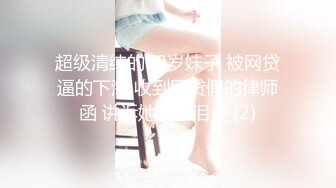 露脸才是王道！顶级绿帽刷锅狠人，广东大奶美骚妻【雅雅】私拍第二季，商场户外露出3P全程露脸 (1)