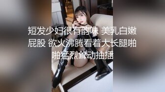 ZT全景厕拍系列11 黑丝美腿的少妇阴毛繁茂性欲应该很旺盛