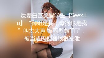 ✿反差白富美留学生『Seex.Lu』“御姐是我，母狗也是我”叫太大声 被隔壁敲门了，被当成肉便器狠狠发泄