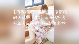 2020-04-17文轩探花3000网约外围，低配版韩彩英_iris3