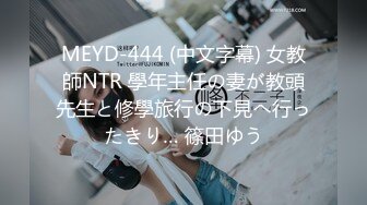 MEYD-444 (中文字幕) 女教師NTR 學年主任の妻が教頭先生と修學旅行の下見へ行ったきり… 篠田ゆう