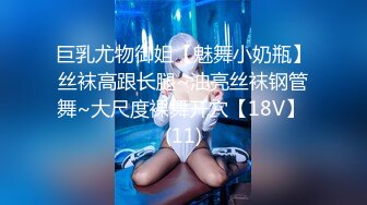 顶级约炮大神【一杆钢枪 我的枪好长】最新付费群更新20V，模特女友，多种情趣玩法好厉害！