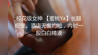 杏仁曲奇 黑兽 精灵女王