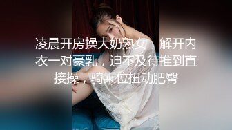 主观视角单挑巨乳家庭主妇Housewifes1on1系列早期资源合集第二弹【48V】 (28)