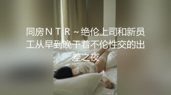 同房ＮＴＲ～绝伦上司和新员工从早到晚干着不伦性交的出差之夜