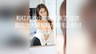 【阿龙探花】过年不休息 龙哥喊了个良家人妻共渡春宵