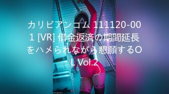 カリビアンコム 111120-001 [VR] 借金返済の期間延長をハメられながら懇願するOL Vol.2