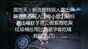 屌炸天！新流推特狠人露出界新晋变态狂人【南小姐】私拍 露出喂蚊子男公厕紫薇吃屎垃圾桶捡用过的避孕套吃精 我服了 (5)