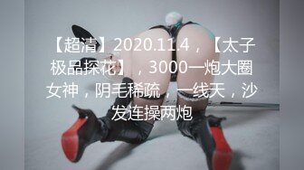 【超清】2020.11.4，【太子极品探花】，3000一炮大圈女神，阴毛稀疏，一线天，沙发连操两炮